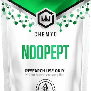 Noopept Powder – 10g
